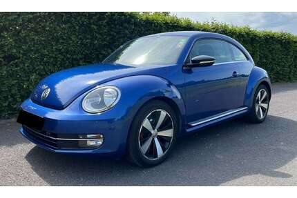 VW Beetle Gebrauchtwagen