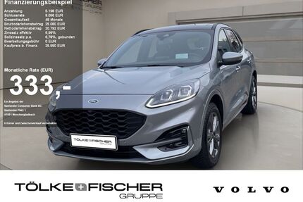 Ford Kuga Gebrauchtwagen