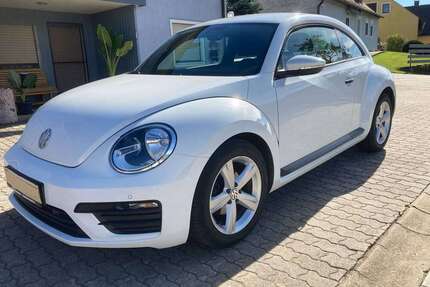VW Beetle Gebrauchtwagen