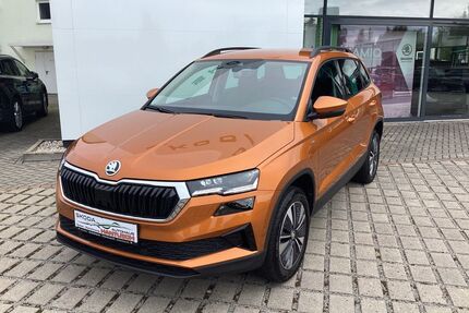 Skoda Karoq Gebrauchtwagen