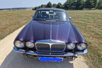 Jaguar Daimler Gebrauchtwagen