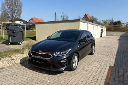 Kia ceed / Ceed Gebrauchtwagen
