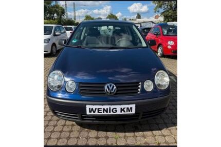 VW Polo Gebrauchtwagen