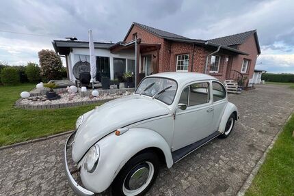 VW Käfer Gebrauchtwagen