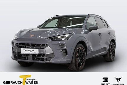 Cupra Terramar Gebrauchtwagen
