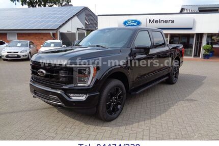 Ford F 150 Gebrauchtwagen