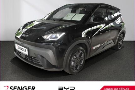 BYD DOLPHIN Gebrauchtwagen