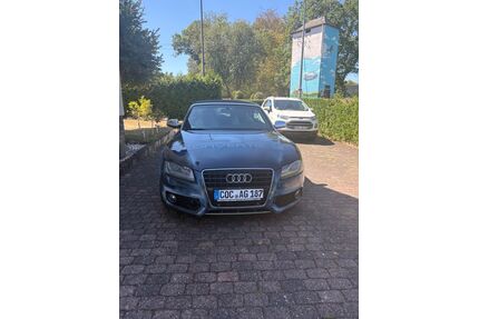 Audi S5 Gebrauchtwagen