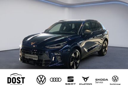 Cupra Terramar Gebrauchtwagen