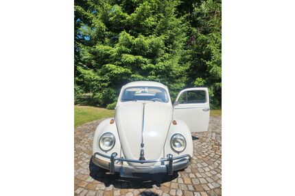 VW Käfer Gebrauchtwagen