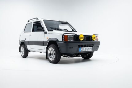 Fiat Panda Gebrauchtwagen