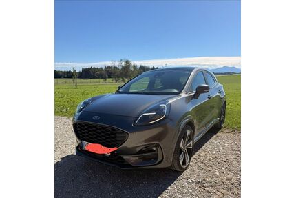 Ford Puma Gebrauchtwagen
