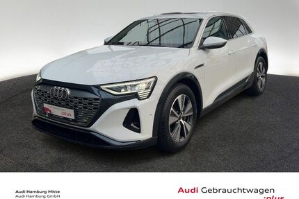 Audi Q8 e-tron Gebrauchtwagen