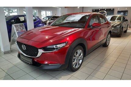 Mazda CX-30 Gebrauchtwagen