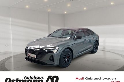 Audi Q8 e-tron Gebrauchtwagen