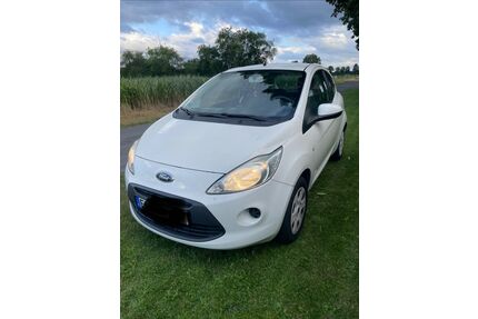 Ford Ka/Ka+ Gebrauchtwagen