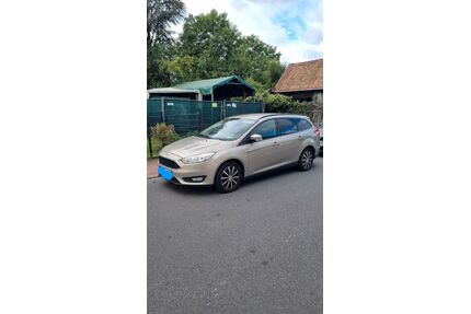 Ford Focus Gebrauchtwagen
