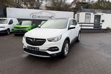 Opel Grandland (X) Gebrauchtwagen
