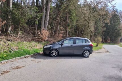 Ford B-Max Gebrauchtwagen