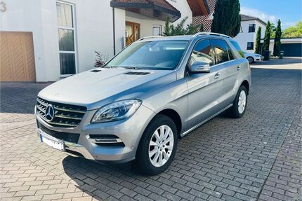 Mercedes-Benz ML 250 Gebrauchtwagen