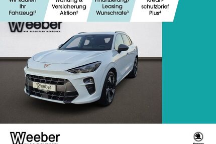 Cupra Terramar Gebrauchtwagen