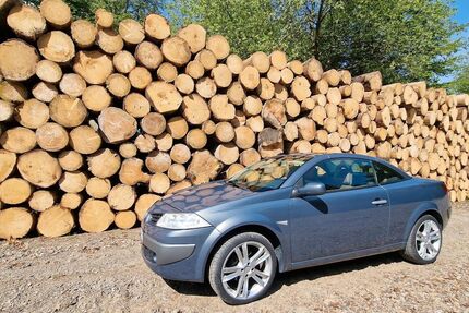 Renault Megane Gebrauchtwagen