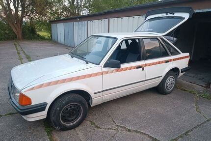 Ford Escort Gebrauchtwagen