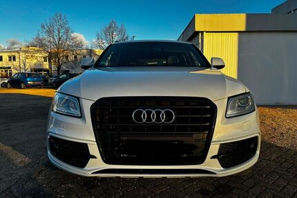 Audi Q5 Gebrauchtwagen