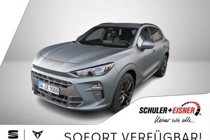 Cupra Terramar Gebrauchtwagen