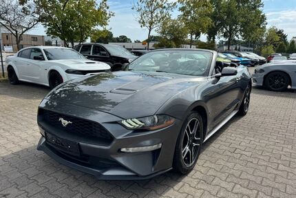Ford Mustang Gebrauchtwagen