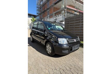 Fiat Panda Gebrauchtwagen