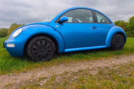 VW Beetle Gebrauchtwagen