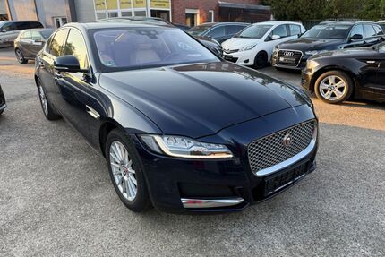 Jaguar XF Gebrauchtwagen