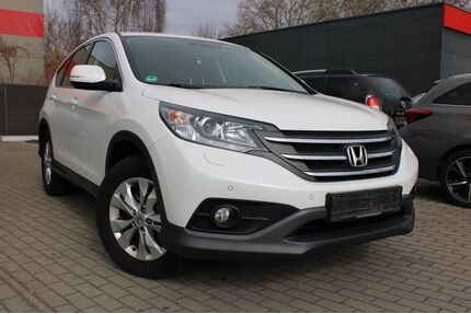 Honda CR-V Gebrauchtwagen
