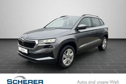 Skoda Karoq Gebrauchtwagen