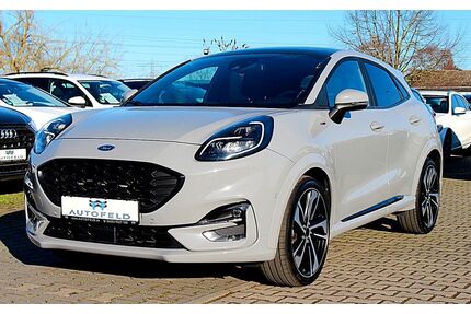 Ford Puma Gebrauchtwagen