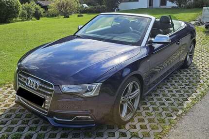 Audi S5 Gebrauchtwagen