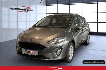 Ford Fiesta Gebrauchtwagen