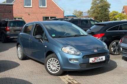 Fiat Punto Gebrauchtwagen