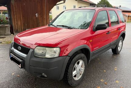 Ford Maverick Gebrauchtwagen