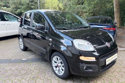 Fiat New Panda Gebrauchtwagen