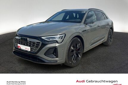 Audi Q8 e-tron Gebrauchtwagen