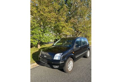 Ford Fusion Gebrauchtwagen