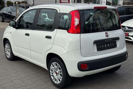 Fiat Panda Gebrauchtwagen