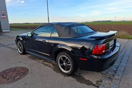 Ford Mustang Gebrauchtwagen