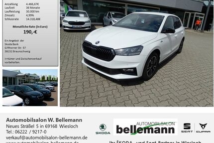 Skoda Fabia Gebrauchtwagen