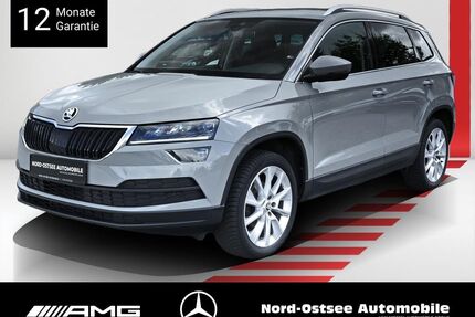 Skoda Karoq Gebrauchtwagen