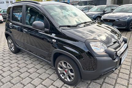 Fiat Panda Gebrauchtwagen