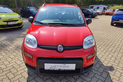 Fiat Panda Gebrauchtwagen