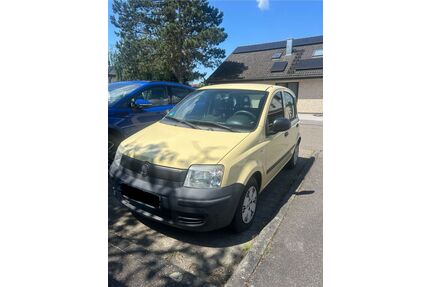 Fiat Panda Gebrauchtwagen